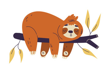 Funny Sloth Animal Character Sleep on Tree Branch Vector Illustration