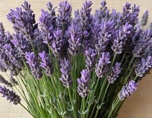 Fototapeta premium A bunch of lavender flowers in a vase