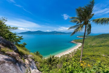 Tropical Island Beach View Hilltop Palm Vista