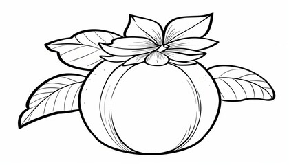 A simple line art drawing of a persimmon fruit with leaves and a flower. Perfect for coloring books or educational materials about fruits.