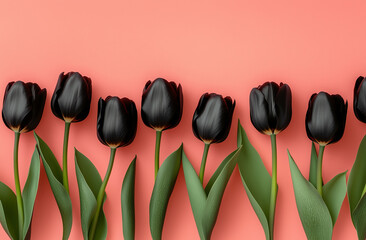 Beautiful composition spring flowers. Bouquet of pink tulips flowers on pastel pink background. Valentine's Day, Easter, Birthday, Happy Women's Day, Mother's Day.
Flat lay, top view, copy