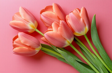 Beautiful composition spring flowers. Bouquet of pink tulips flowers on pastel pink background. Valentine's Day, Easter, Birthday, Happy Women's Day, Mother's Day.
Flat lay, top view, copy