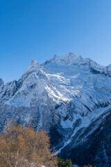 Obraz premium Snow-capped peaks with majestic blue slopes rise above rugged slopes of North Caucasus mountain range. Picturesque pine and spruce forests grow at foot of mountains with eternal glaciers. Dombai.