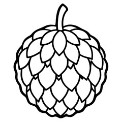 Elegant Custard Apple Vector Line Drawing