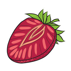 Strawberry half vector illustration hand drawn in sketch style. Colored image of a piece of red summer berry on an isolated background. For packaging design and ingredient for recipes.