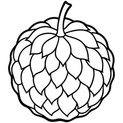Elegant Sugar Apple Line Art Illustration