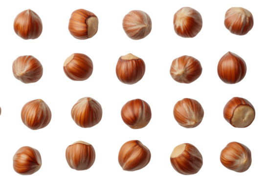 Sorted hazelnuts arranged in a grid on a white background for culinary use or decoration