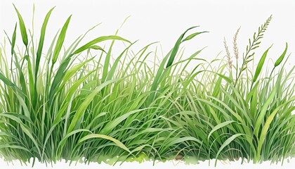 Summer Fields: A Hand-Drawn Organic Garden