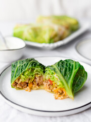  Stuffed Savoy Cabbage Rolls with Meat, Rice and Vegetables on a Plate
