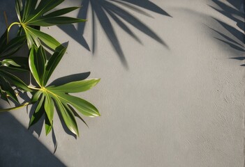 Minimalist Botanical Banner Presentation