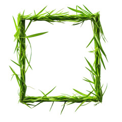 Square Grass Frame Isolated for Natural Design Use on transparent background