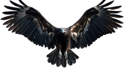Soaring Eagle: A majestic eagle with powerful wings spread wide, ready for flight, against a clear sky. The bird's piercing gaze and impressive wingspan convey strength, freedom, and determination.  