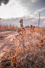 Landscape Bulgarian village