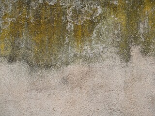 Mossy, dirty, old concrete wall
