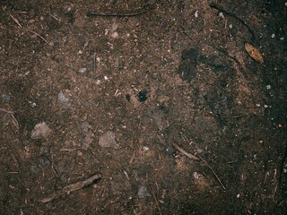 Dirty soil covered with various natural elements