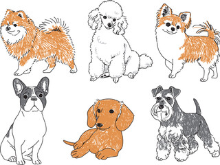 人気の小型犬の手描きイラストセット