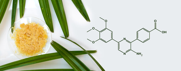 Organic Carnauba Wax in Chemical Watch Glass with molecular structure place next to broadleaf lady...