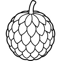 Sugar Apple Handheld Line Art Vector