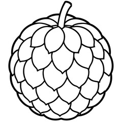 Sugar Apple Handheld Line Art Vector