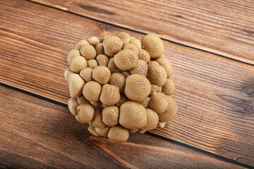 Raw asiam delicacy mushroom Shimeji