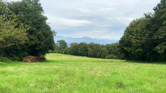 An expansive green field surrounded by trees and distant hills, with a clear blue sky and bright sunlight, offering a peaceful outdoor environment for relaxation and enjoyment of the natural landscape