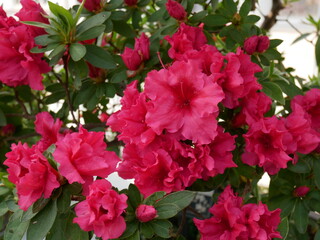 Séoul, Corée du Sud, ville, skyline, gratte-ciel, architecture, moderne, traditionnel, palais, Gyeongbokgung, Changdeokgung, temple, Jogyesa, Bukchon Hanok Village, Namsan Tower, N Seoul Tower, rivièr