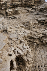 Close-up view of a sandstone rock in the desert. Abstract background. Selective focus.