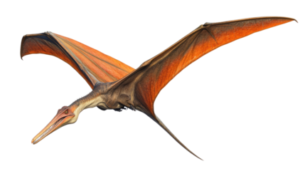 Pterodactyl Soaring Through Time: A prehistoric pterodactyl with leathery wings, gliding effortlessly through the air, showcasing the majesty of this extinct species.  