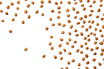 Seeds scattered across a white surface creating a minimalist and organic visual effect during daylight hours