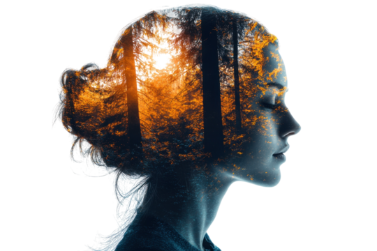 Profile silhouette of a woman with a double exposure effect showcasing a forest and sunlight at sunset
