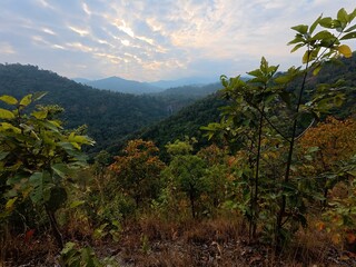 Autumn forest landscape with red, green and yellow leaves on mountain