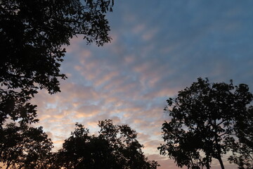 sky with cloud in sunset
