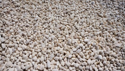 Fototapeta premium Natural Porous White Coral Rocks for Decorative Landscaping, Gardening, and Aquarium Use, Perfect for Aesthetic Appeal and Drainage