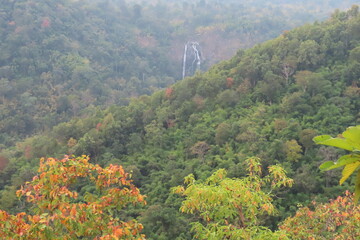 Autumn forest landscape with red, green and yellow leaves on mountain