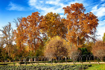 Otoño en los Jardoines del Príncipe