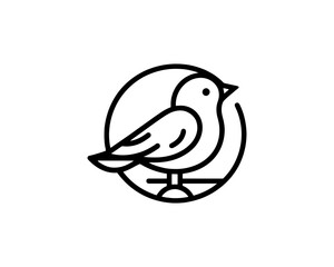 Bird Logo Design Icon Symbol Vector Illustration.