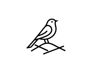 Bird Logo Design Icon Symbol Vector Illustration.