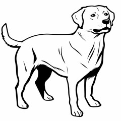 Fototapeta premium simple dog, Black lines on a white background, No shading 