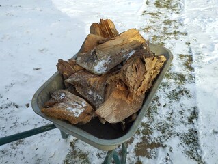 Metal construction wheelbarrow filled with dry firewood from oak roots. The theme of heating a house in the winter season.