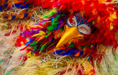 ( NO A.I.)a colorful parrot costume for carnival masquerade parties