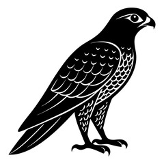 Falcon Silhouette vector illustration