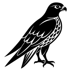 Fototapeta premium Falcon Silhouette vector illustration