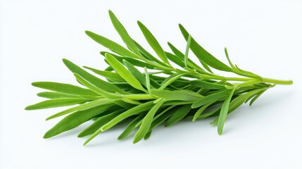 Fototapeta premium Fresh green tarragon herb on a light background.
