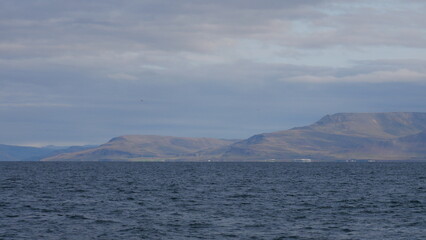 excursion, baleine, dauphin, observation, cétacés, mammifères marins, croisière, sortie en mer, tourisme, aventure, nature, faune marine, bateau, guide, expérience, photographie, éco-tourisme, océan, 