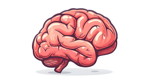brain cartoon illustration isolated on a transparent background