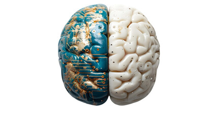 brain combined half merging with technology isolated on a transparent background
