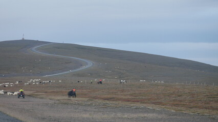 Islande, Highlands, route F-roads, 4x4, expédition, aventure, voyage, nature sauvage, paysage...