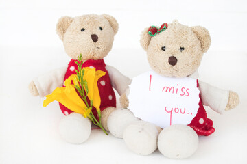 i miss you message card handwriting with couple teddy bear arrangement flat lay postcard style 