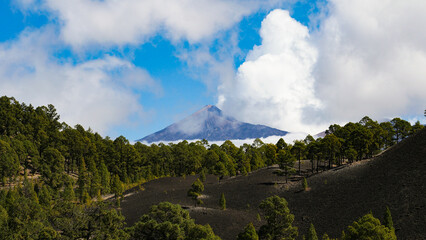  volcan mont Teide au Parc national del Teide et Roques de García, Ténérife, Espagne
