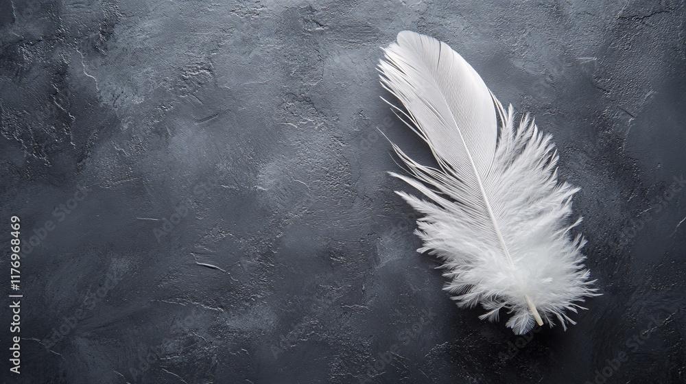 Poster Soft white feather resting on a dark textured surface in a peaceful setting